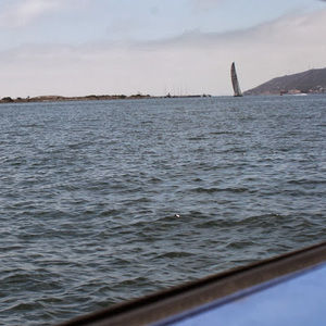 Meet your Posher, Gulya